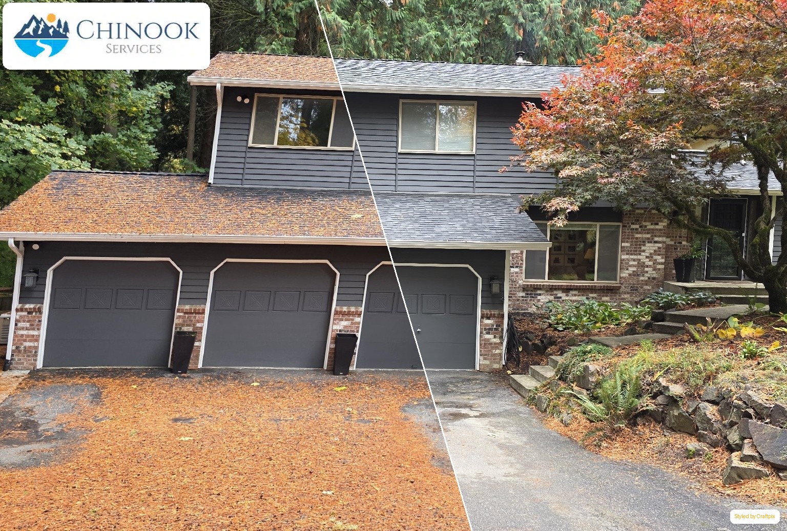 Chinooks Services - Before and After Visualization