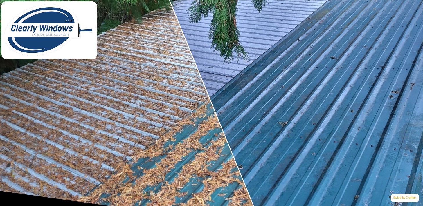 Clearly Windows - Before and After Visualization